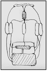 drawing: step 4